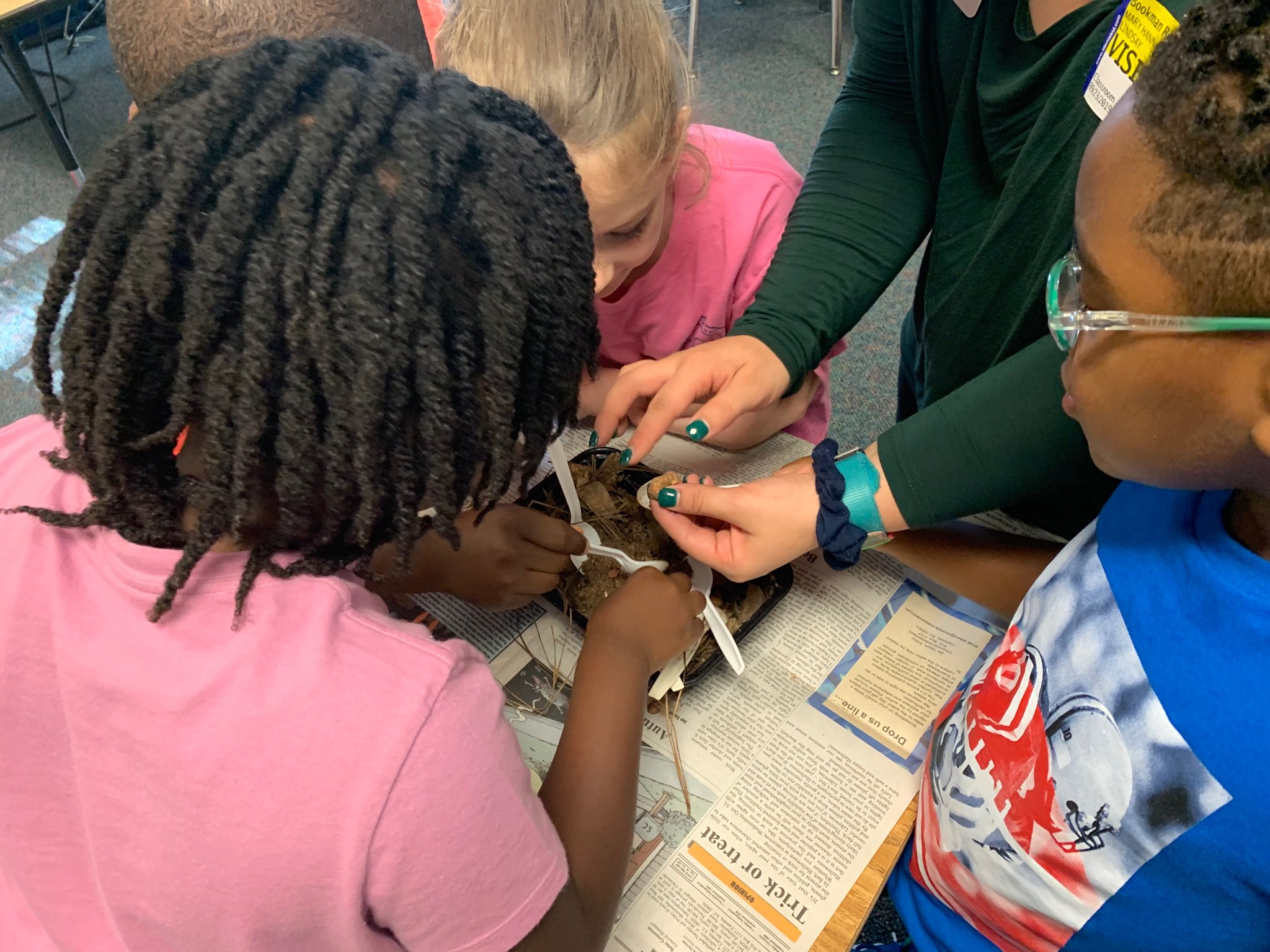 Elementary students examine earthworms