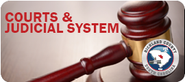 Courts and judicial system
