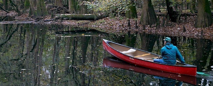 Canoeing on the Congaree